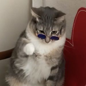 Meet your Posher, Spencer